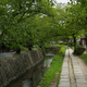 Philosopher’s Path